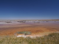 P3265678
