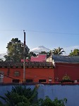 IMG_20200125_073548