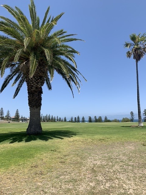Cottesloe Beach