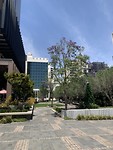 The Westin Hotel