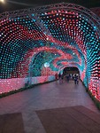 Christmas lights