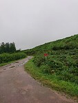 DSC_2990