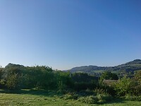 DSC_3012