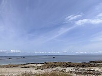 IMG_3468