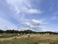 IMG_3475