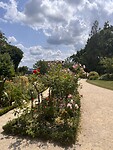 IMG_3490