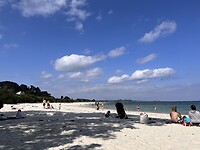 IMG_3564
