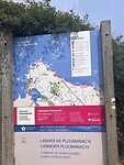 IMG_3585