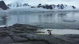 Antarctica (Mr Pinguin)