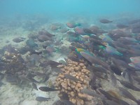 IMG-20180823-WA0011
