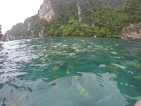 IMG-20180823-WA0012