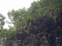 IMG-20180823-WA0023