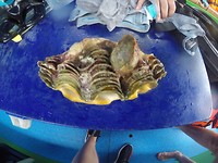 IMG-20180823-WA0016