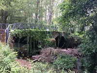 Prachtig begroeide brug