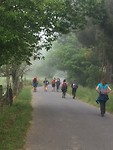Pelgrims in de mist