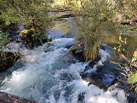 IMG_20220814_113858