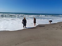IMG-20220821-WA0073