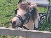 IMG_20220828_134603