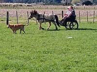 IMG_20220828_132826