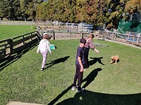 IMG_20220828_131716