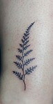 IMG-20220831-WA0023__01