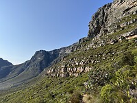 IMG_8184