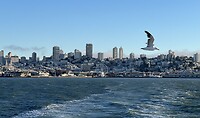 IMG_3573