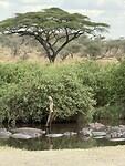IMG_5451