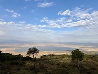 IMG_5519