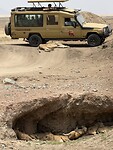 IMG_5504