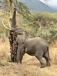 IMG_5671