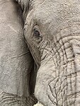 IMG_5661