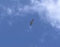 EC3E5E8C-77AE-49EF-A13A-267C8A587D86