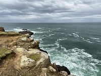 3B4B7391-2B09-45A6-B2D0-17B2F874D286