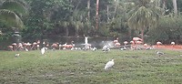 20190814_174239