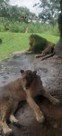 20190814_141256