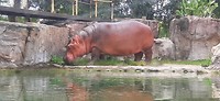 20190814_140627