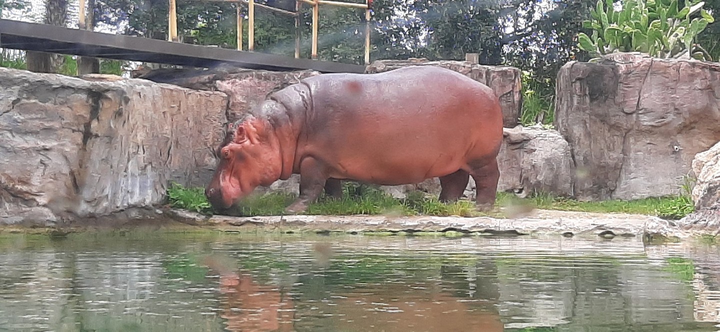 20190814_140627