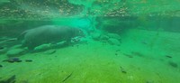20190814_140237
