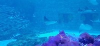 20190820_161651