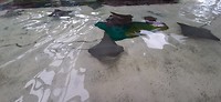 20190820_154313