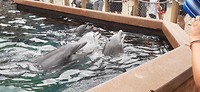 20190820_153454