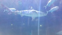 20190820_133645