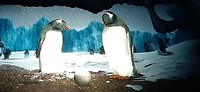 20190820_164930