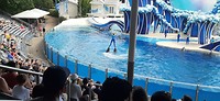 20190820_111235