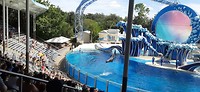 20190820_110516