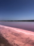 Pink Lake