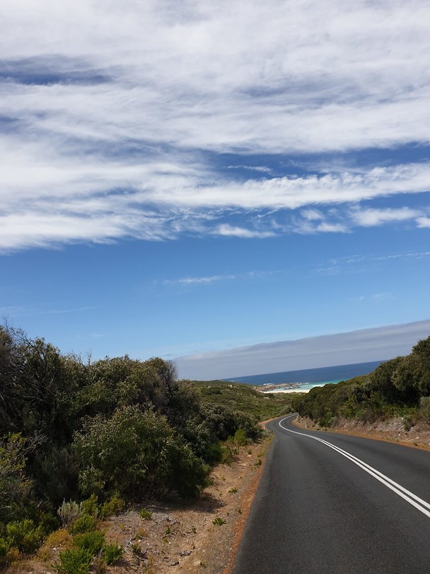 This road 😍