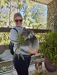 KOALA!
