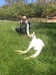 Albino roo!